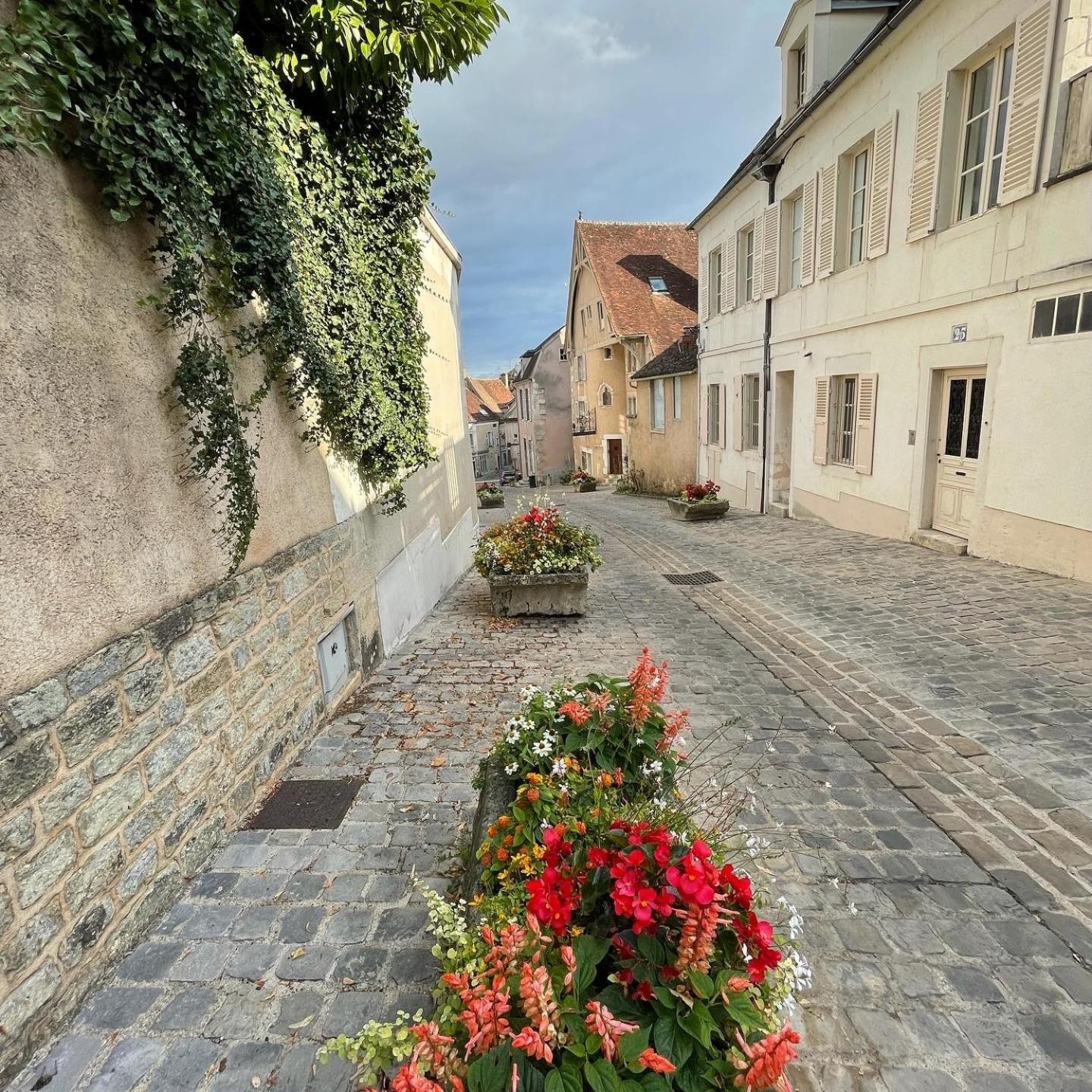 Le Pigeonnier Centre Historique Auxerre Daire Dış mekan fotoğraf